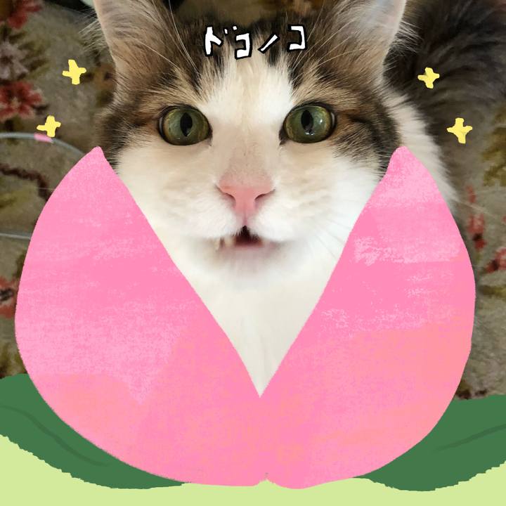 846695fd 9b6d 4017 a03c ce22d3b2681b 1771921132454