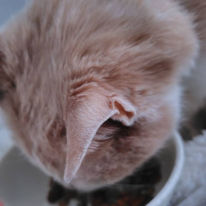 8466a321 9253 479e 8fb4 29e031fbc9f9 1769588429514