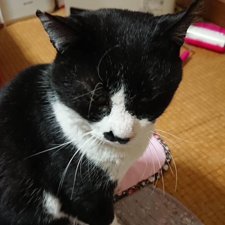 8466ae1d c9bb 4261 a33b e9f2cbd86919 1549364871796