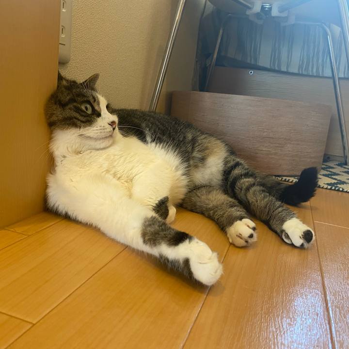 8466cb6c 28d3 4c92 a923 26b4f076883c 1629376142461