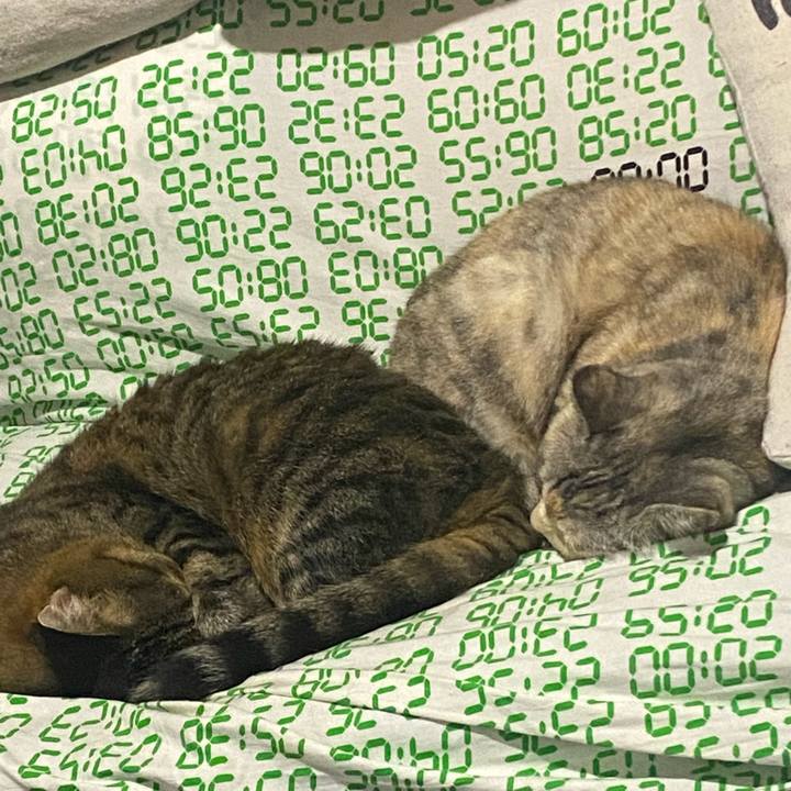 84670ca5 011b 4763 86f9 650d5f92a9ca 1662228836685