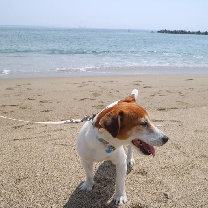 84670fcf b649 49b1 9636 53baf5a3384a 1528811288605