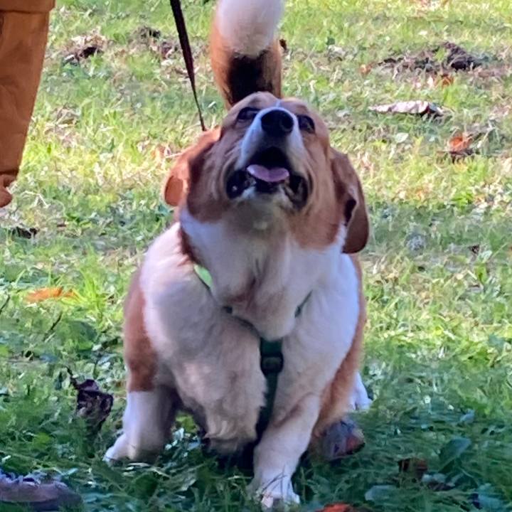 846753bf 0459 4a10 81c1 d7eb66ab2a74 1733021175912