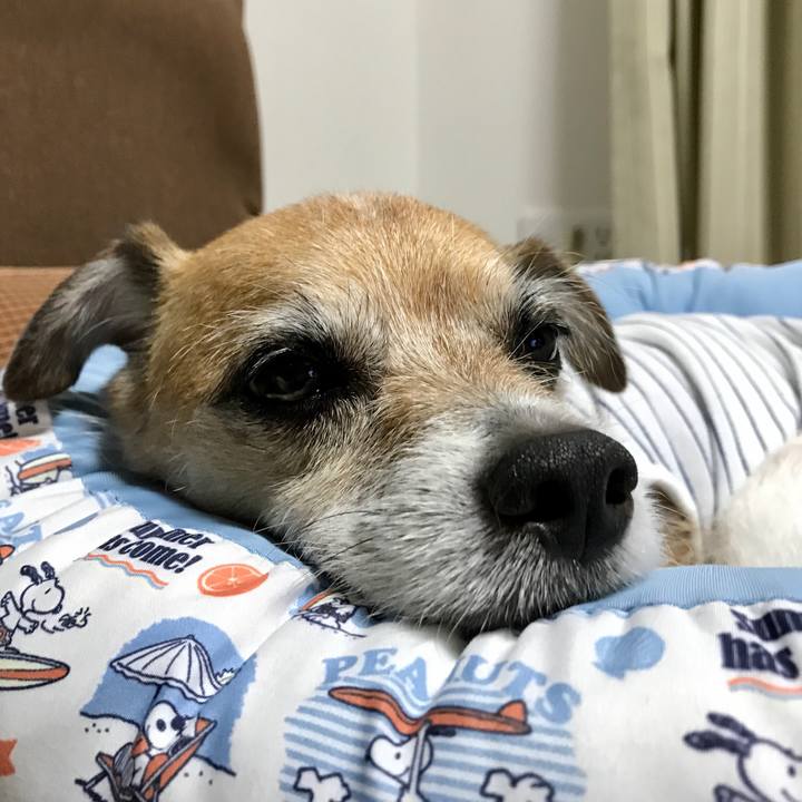 84676ce6 350f 43b9 8176 9dc1653d486b 1592834420334