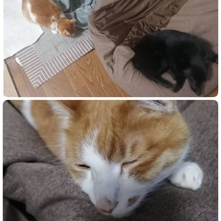 84679b59 9063 4e0e 99df 92fef2afd645 1643927859472