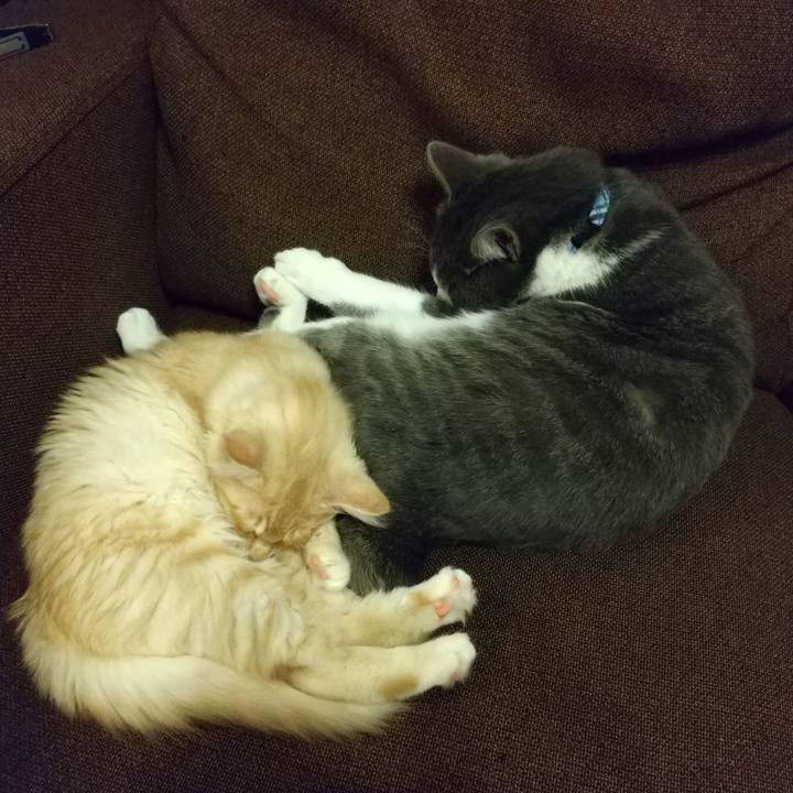 84680b9e c13e 4c87 ba08 d99ca7ea264a 1607689563941