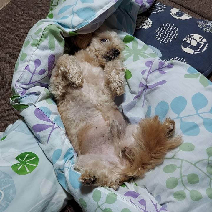 84682482 c95e 49dd 9a27 f66f5e73810a 1629152277031