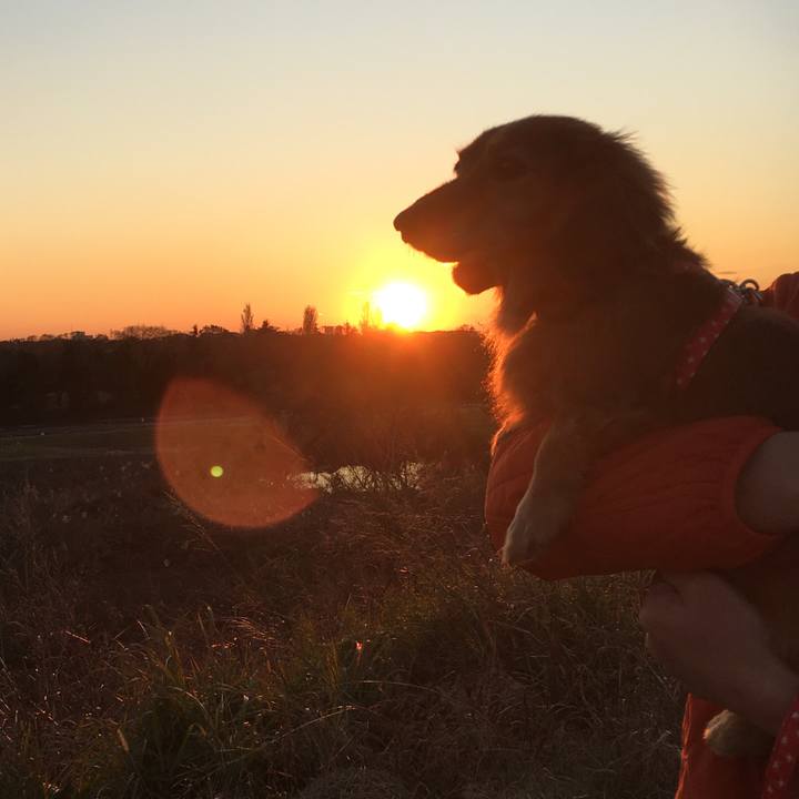 84685c21 fc77 4c30 b1e2 10b65ba1a19b 1575807474523