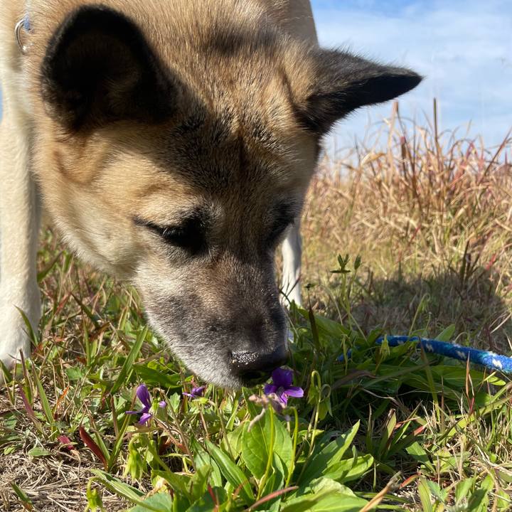 8468832d 6f0d 4699 b421 a688023a041c 1668952153564