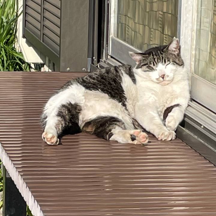 84689dbb 95c7 46bc a20a cf4999860980 1618705082748