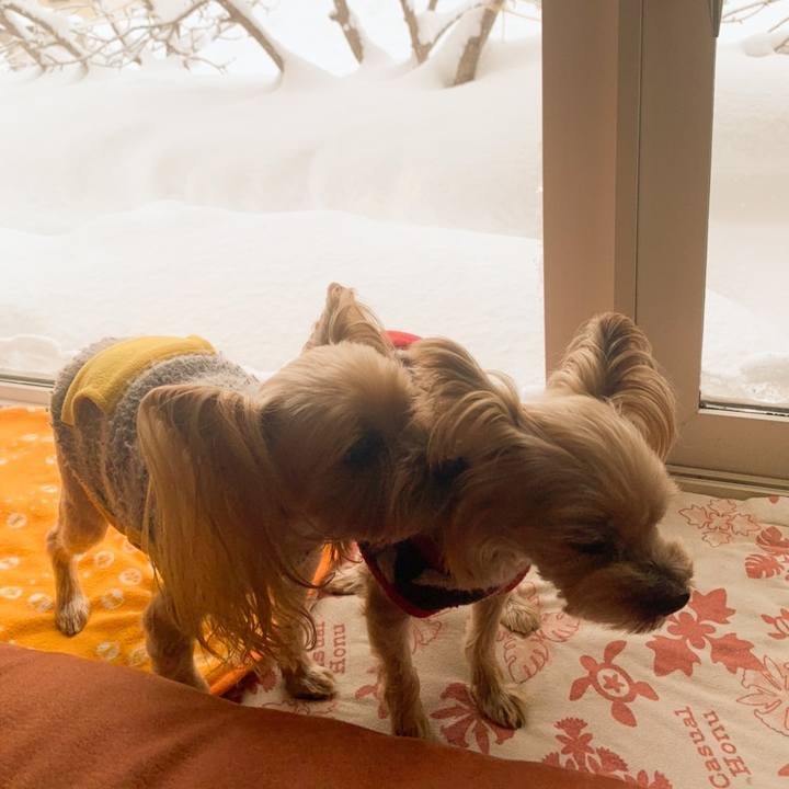 8468a1e9 84c2 4ac4 9836 ea0cba8331eb 1614422351798