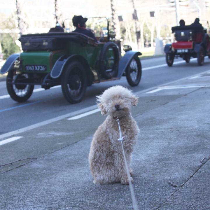 8468a45f 3d48 411b 824c 64c8880af2b4 1520095901716