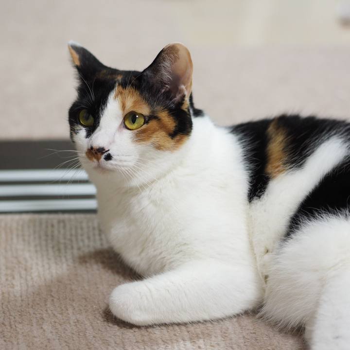 8468d449 81e8 4a8c b08a 7827c7673ef4 1522623844993