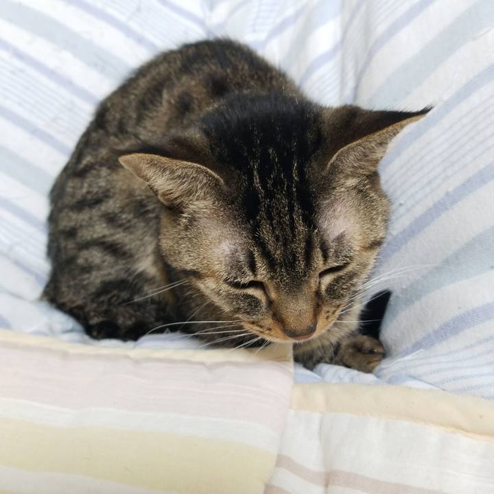 8468dc86 7379 409e bc9f d8135715659f 1574286692950