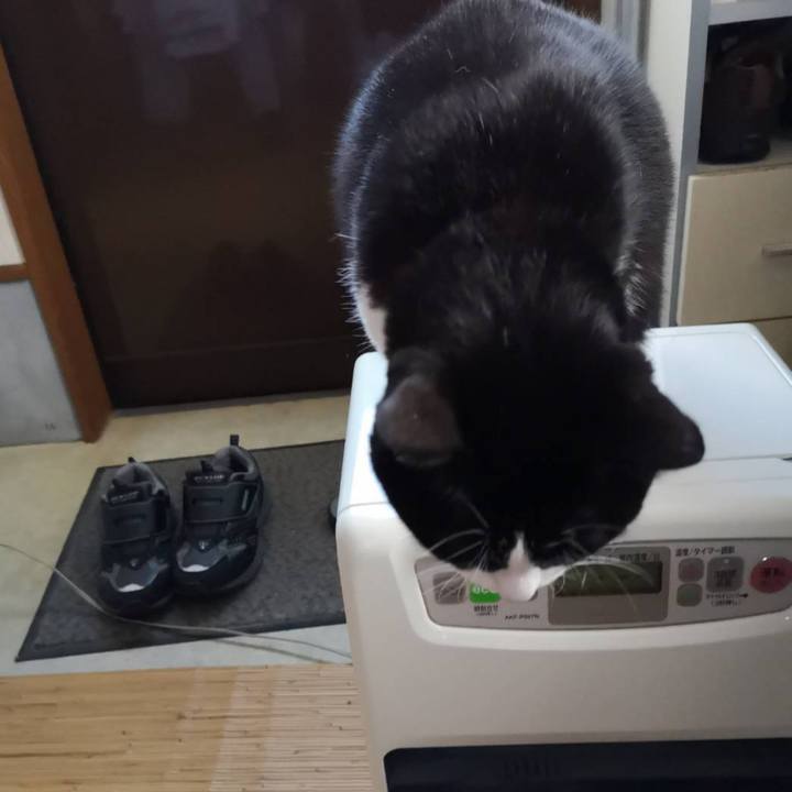 84690810 9e76 4ad4 92ce 76d99dd96e53 1665212161922