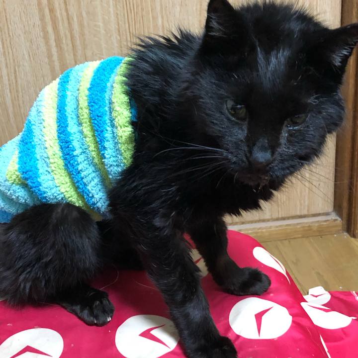 84692147 33b8 4f81 919c 6e51971e27a0 1647377167557