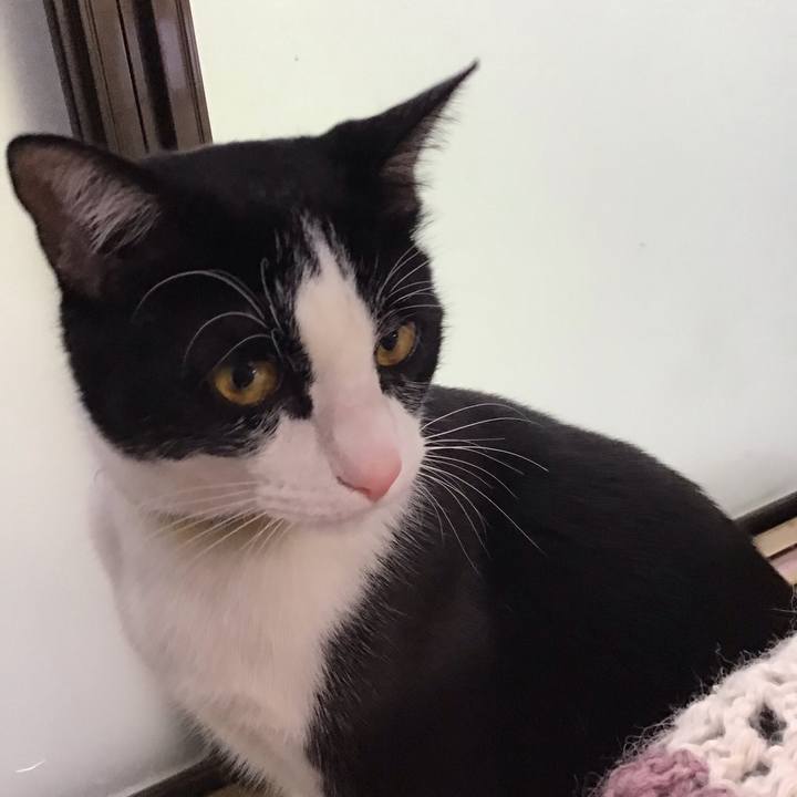 84693d05 d496 4c9a 81a7 52dda39021cd 1652084941605