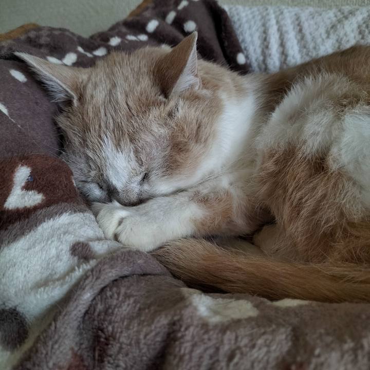 84694a04 84c2 465c a92e 15d88afbb83f 1676789057012