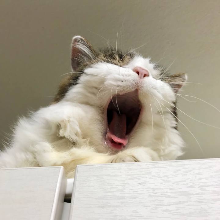 84698a7a c3a3 45fc 86f4 3abf4ec0f532 1631953484275