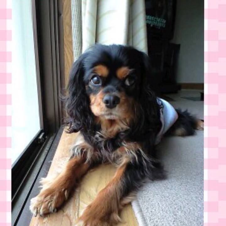 84699d7d 8b38 42e6 9567 f2489d1b05e1 1523868767481