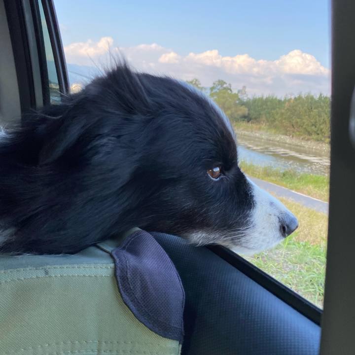 8469b2b7 8647 46e9 b6a8 302bca2fdf4b 1635661630244