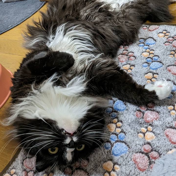 8469ba61 72ca 4efd 8148 8da4c656bb19 1676454510773