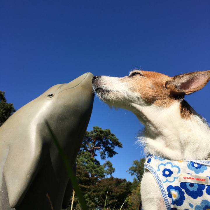 8469e27a 6bc6 479d ba28 9731e5019fb6 1603755036512