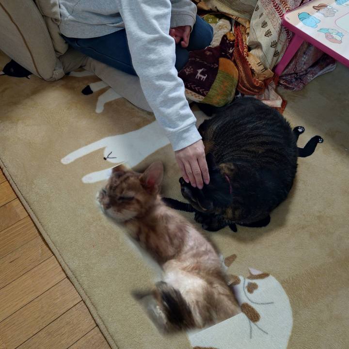 8469e379 c292 4cd3 a7ba 683301fabee8 1774186827757