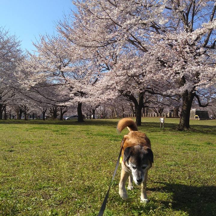 8469f4b5 9435 48bb bb52 07da5f77b0fd 1554340466448