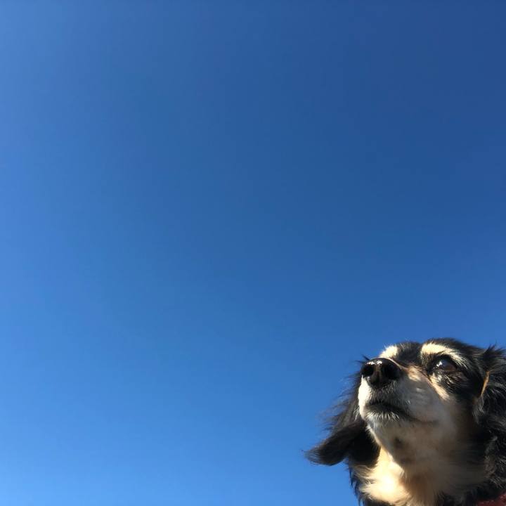 846a0ca3 9848 4f5a 9578 b658f985797e 1638404750116