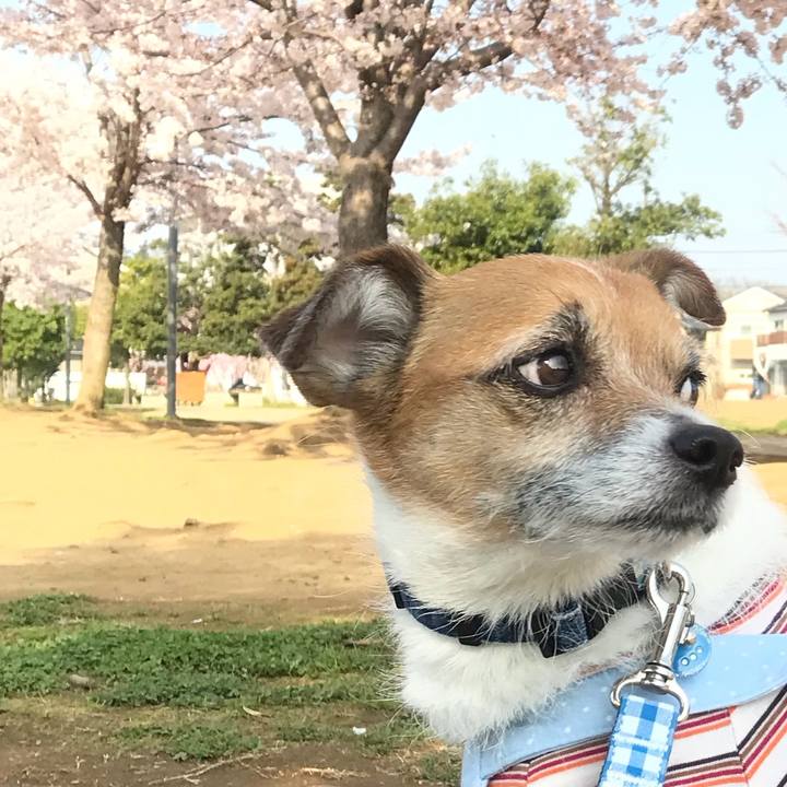 846a1445 f5e1 4dc3 806b 0486d34d823c 1522632514605