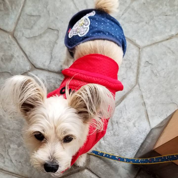 846a3eda 4853 4f6b a52c a655159d2414 1528344555464