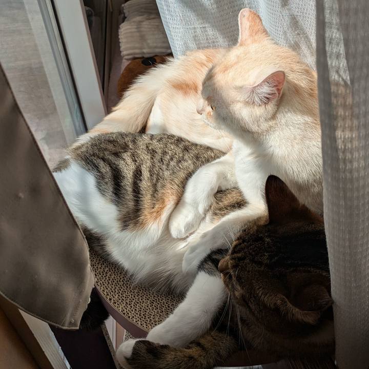 846a403b 4ddf 4b67 ab56 6bfe67ad0ab4 1728869815101