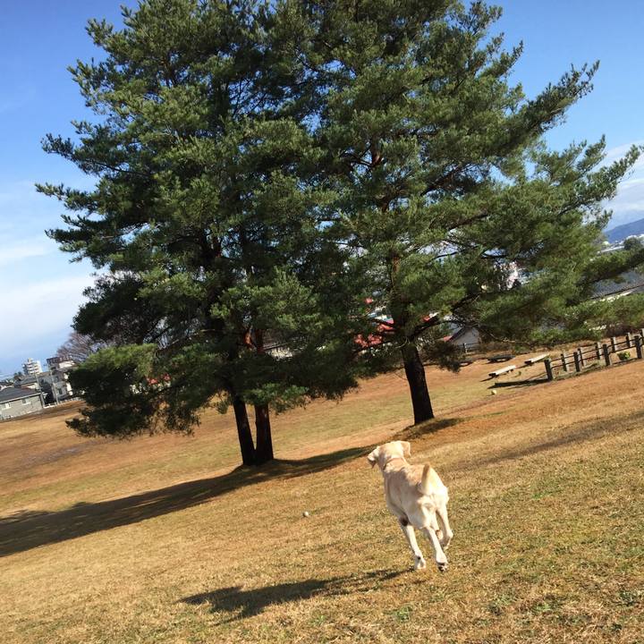 846a9386 cae4 49fd 8038 814ee2953c29 1551165630566