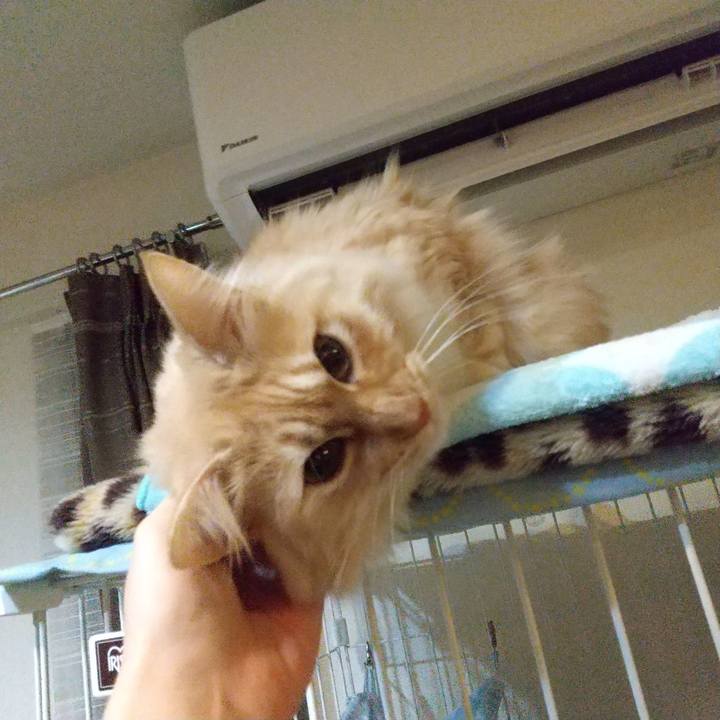 846ac1dd 77b5 4cca 878a 4dde13fa4a4c 1644184371156