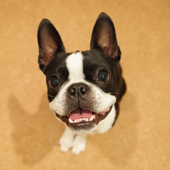 846ac6bf 861a 434e b4f5 0b9c45d99649 1511307875783