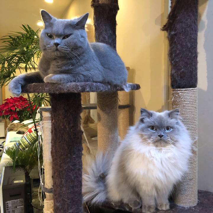 846adf4f 1fa5 48e3 ac5a e188c31954a2 1548465043364