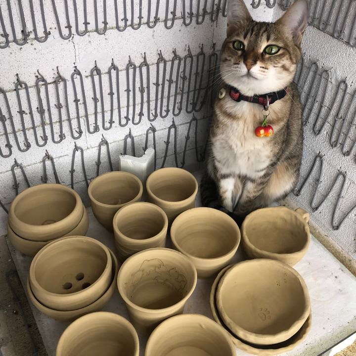 846aea76 5a4b 4bed 96cb d53da703c174 1652690703020