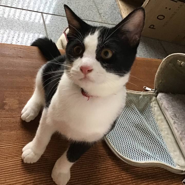 846aef62 f1e4 405b 969d f7e0d52cb62d 1629972292326