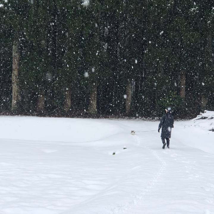 846b05d5 12d3 40a0 b091 459481c59723 1550372276335