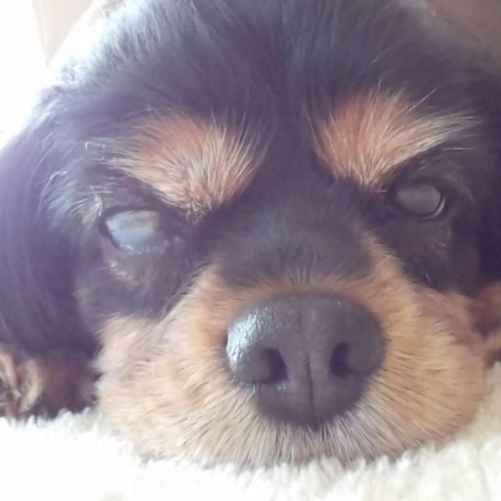 846b0c25 f058 4548 b77a 45694fce60a2 1592017832612