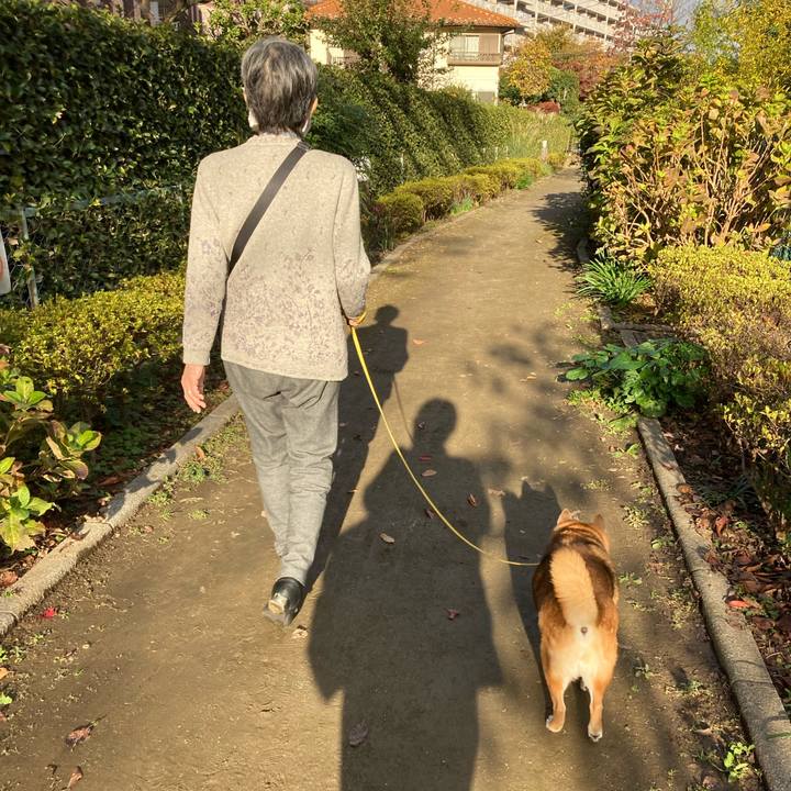 846b6ef3 d00c 498e ab07 6332e1d5a527 1637663248078