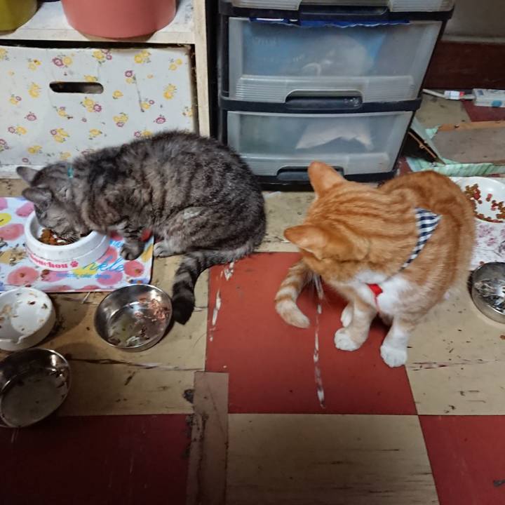 846b8067 45bf 49ba 90ff e0374e671618 1569551128388