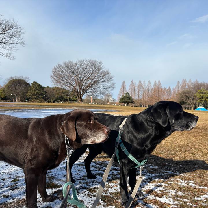 846bd580 f8ae 4cf1 bdbc 7eee81fe09b6 1769339597984