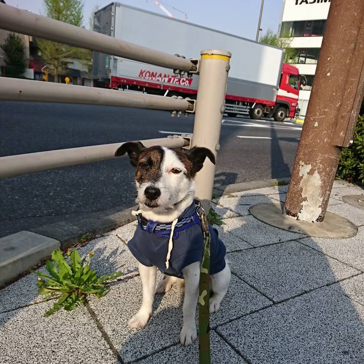 846be12f a8b9 470b a1f5 5f962029cb2f 1522793962258