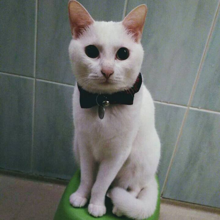 846bf547 f994 4191 a51a 1084b4a3f5ca 1525784555404