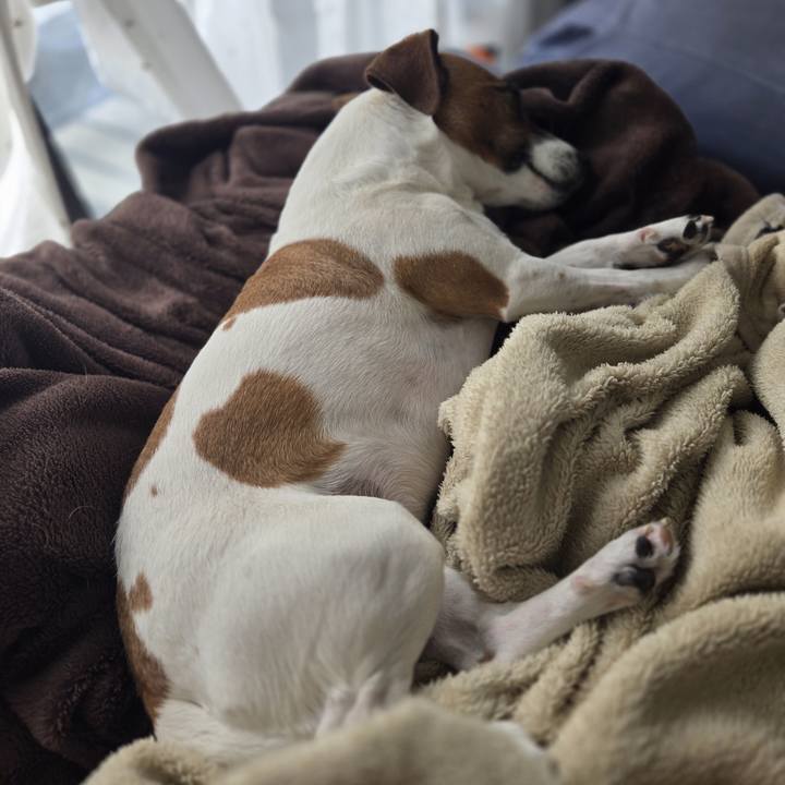 846c0e1b 97d7 4912 b637 9a647e38946a 1769749550510