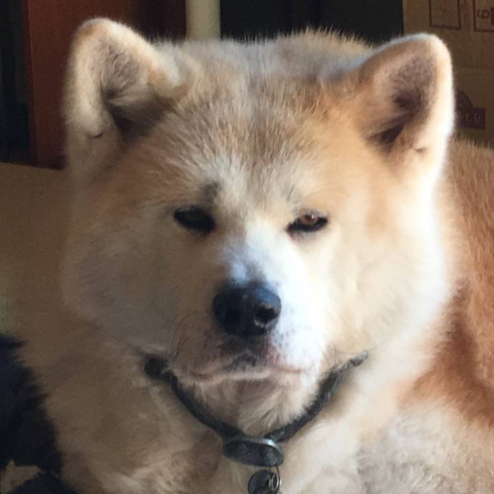 846c56f9 1ad3 460c 939e 4d3f14779a31 1515805589582