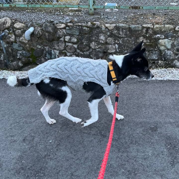 846cb3ce cd5b 489d be67 8ee2f2a01ae4 1736006393491