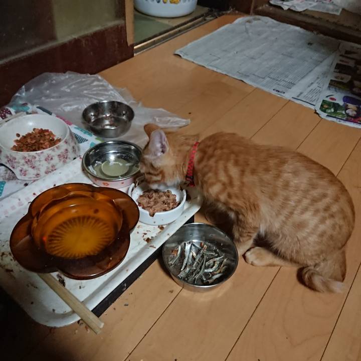 846cf775 ccee 44c2 bd24 bfe06096fffe 1633251797840